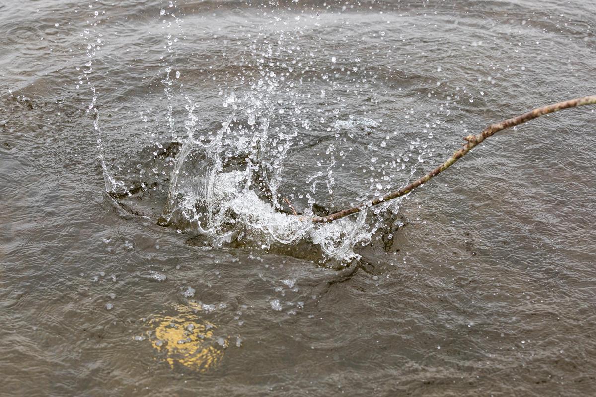 Trainingen en Workshop blindevlek.com