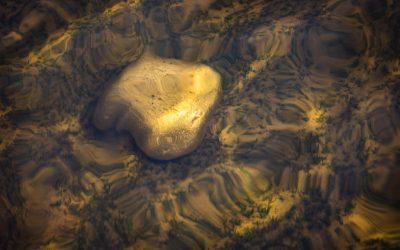 Zelfhulp of persoonlijke coaching: hoe maak je de beste keuze voor persoonlijke groei?